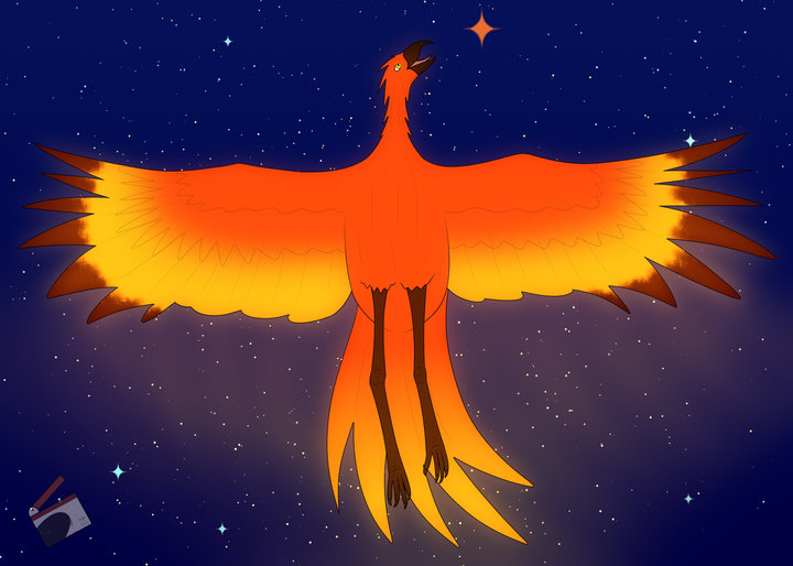 Digital drawing of a phoenix against a starry background, with an orange-colored star standing out from the rest.