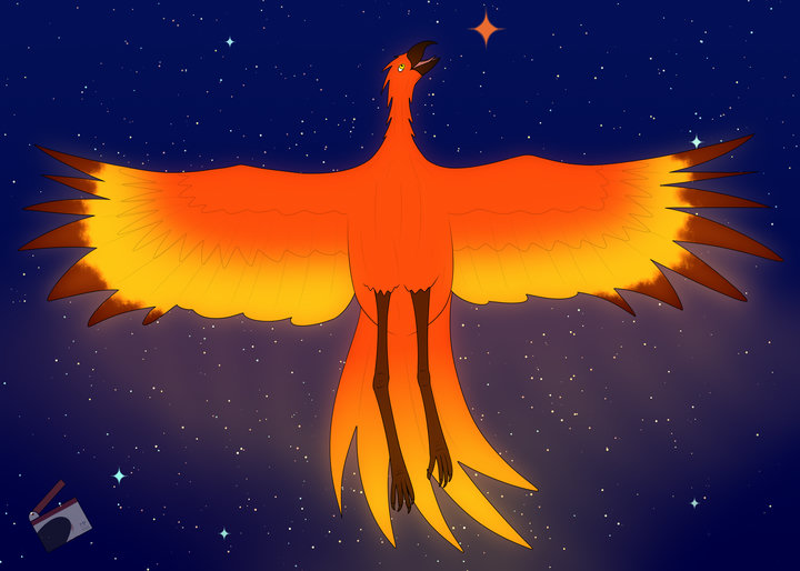 Digital drawing of a phoenix against a starry background, with an orange-colored star standing out from the rest.