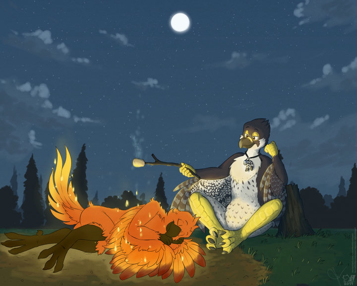 Digital drawing. An anthro phoenix is sleeping curled up and cozy in the middle of a campground, while an anthro falcon sits on a neaby log and grills a marshmallow using the phoenix' heat.