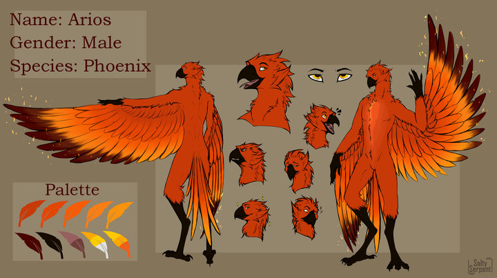 Digital reference sheet depicting an anthro phoenix in various poses. The phoenix has a hawk-like appearance with a hooked beak, wing-arms with five-fingered talon-hands at the end, an orange plumage with brown and yellow accents and digitigrade feet with raptor talons. His expression is confident yet friendly. Text on the sheet reads: 'Name: Arios, Species: Phoenix, Gender: Male'