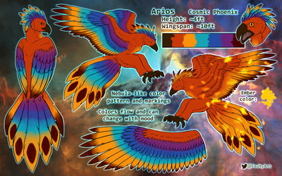 Digital reference sheet depicting a feral phoenix in front of a starry nebula background. The phoenix has a hawk-like appearance with a hooked beak. Its plumage is primarily orange with brown and yellow accents, but also features colorful wings with cool, space/nebula-like colors, ranging from purple to blue-turquoise. Text on the sheet reads: 'Arios, Cosmic Phoenix. Height: ~4ft, Wingspan: ~10ft. Nebula-like color pattern and markings. Colors flow and can change with mood.'