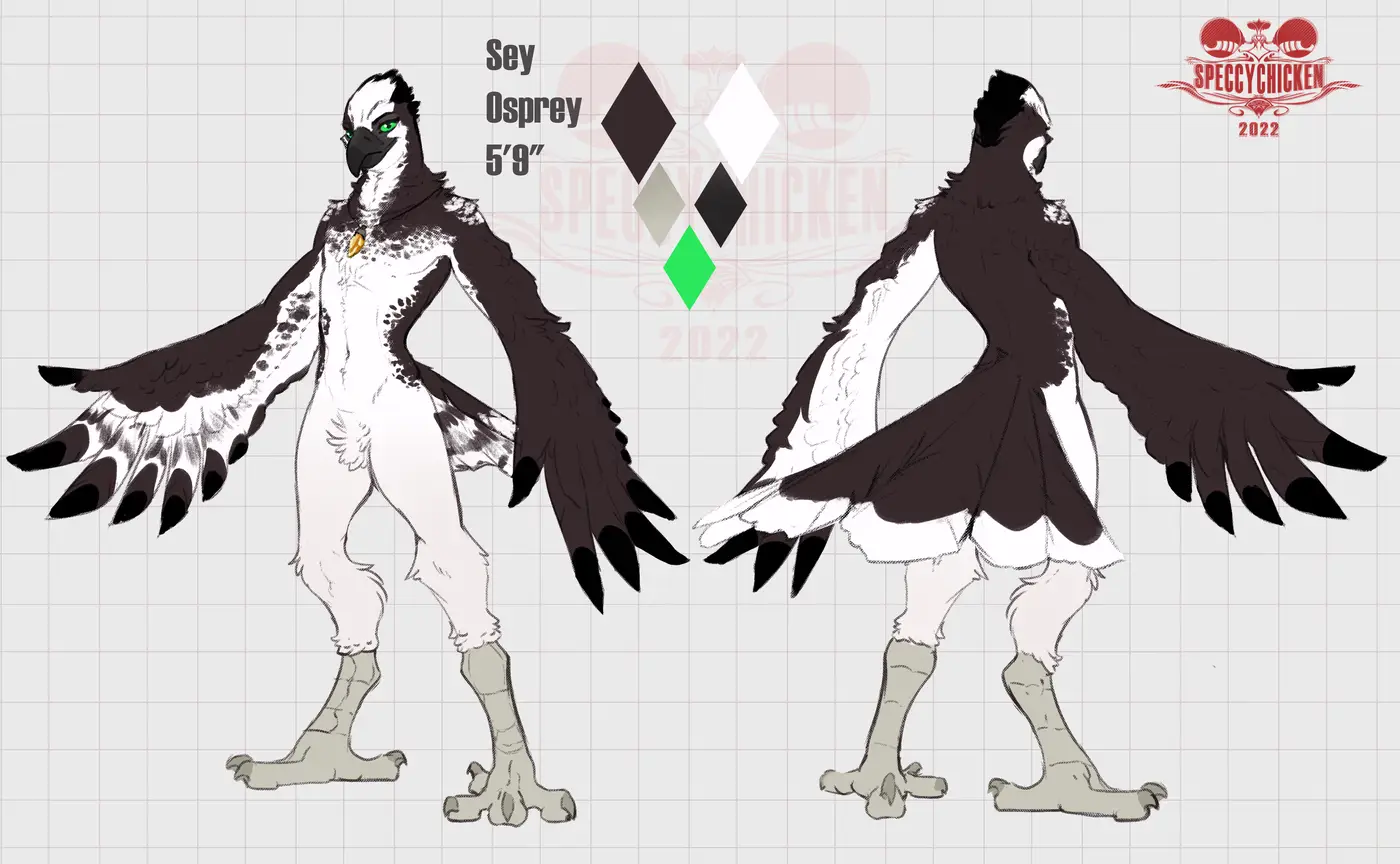 Digital reference sheet depicting an anthro osprey with black-and-white plumage and green eyes. They have wing-arms with feather-hands and are wearing an talisman around their neck.