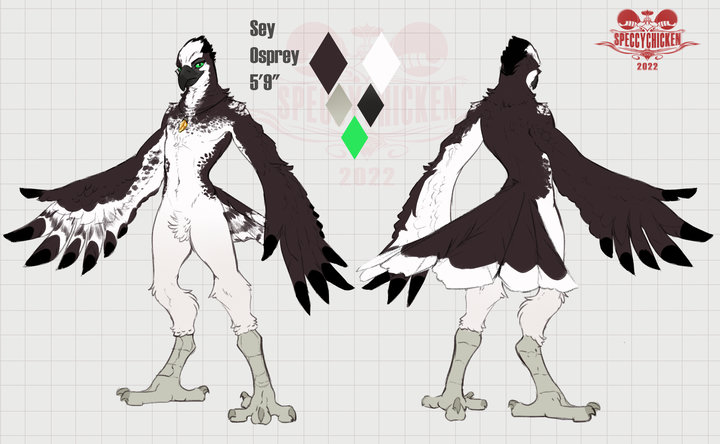 Digital reference sheet depicting an anthro osprey with black-and-white plumage and green eyes. They have wing-arms with feather-hands and are wearing an talisman around their neck.