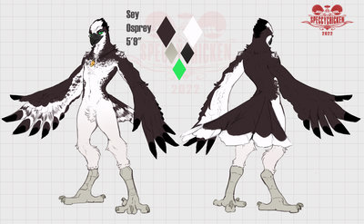 Digital reference sheet depicting an anthro osprey with black-and-white plumage and green eyes. They have wing-arms with feather-hands and are wearing an talisman around their neck.