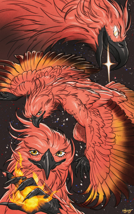Digital sketchpage. An anthropomorphic phoenix can be seen in three poses, including a close-up side portrait, a top-down view with spread wings and a frontal portrait. All poses are against a dark starry background, with the phoenix standing out prominently and proudly. The third pose has him conjuring a small flame in one of his talon-hands