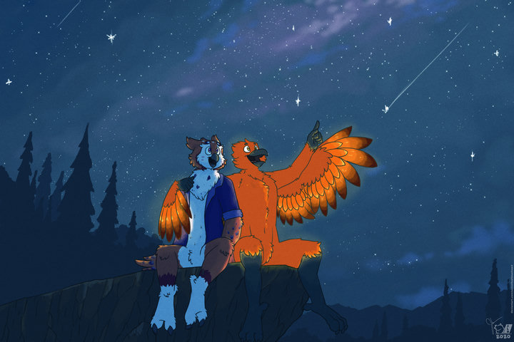 Digital drawing. An anthropomorphic phoenix and owl are sitting on a rocky ledge in a mountainous forest and gaze up at a starry night sky, with the phoenix pointing out stars to the owl.